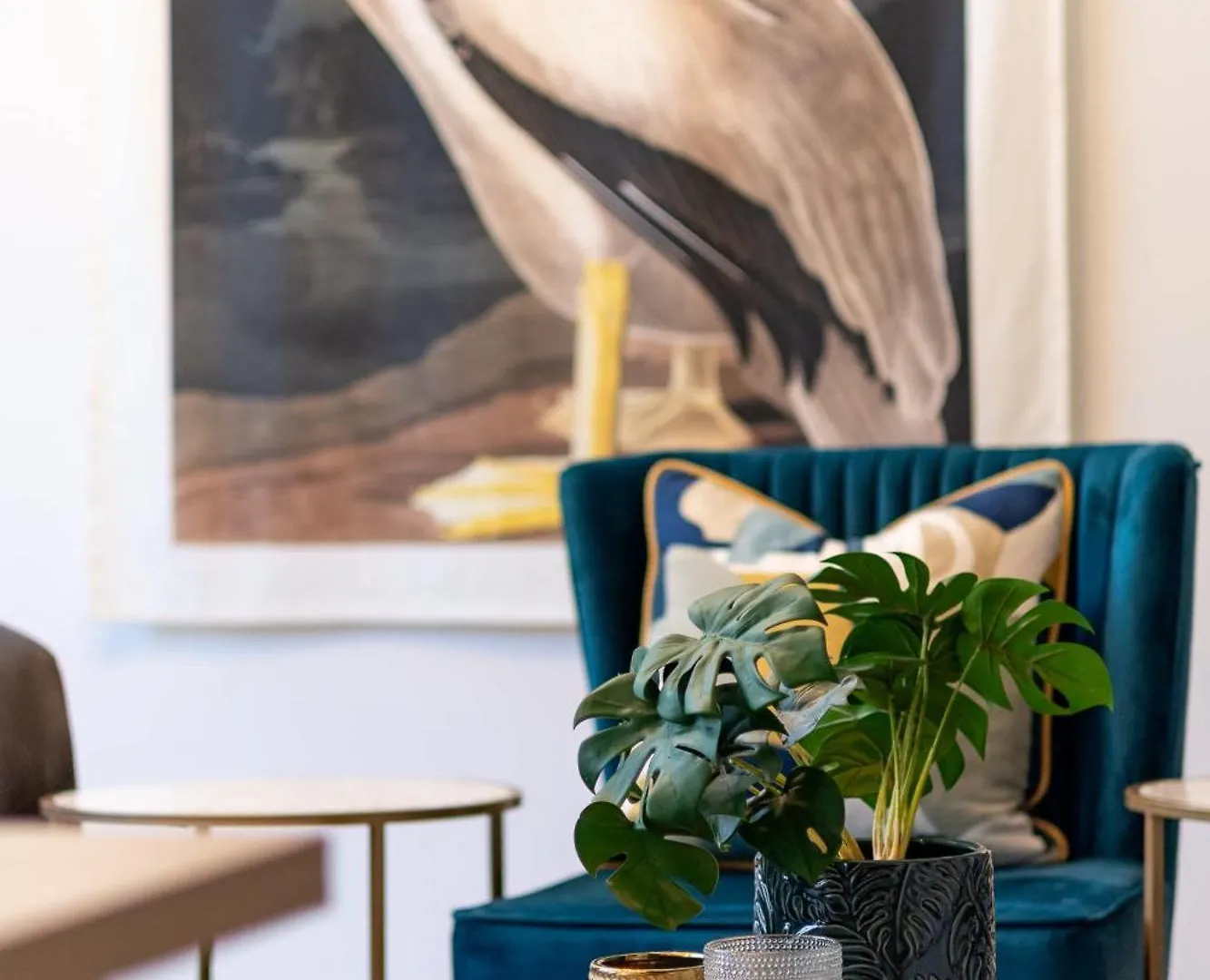 Flamingo On Hope Apartment Cape Town