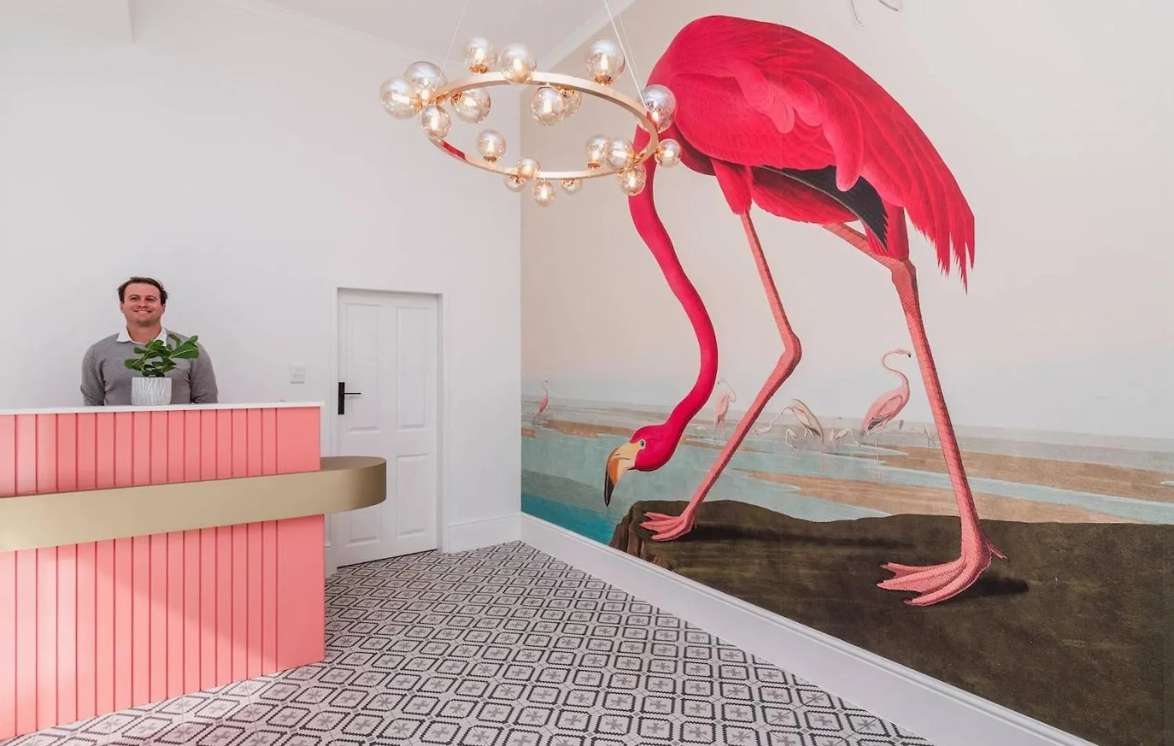 Flamingo On Hope Apartment Cape Town South Africa